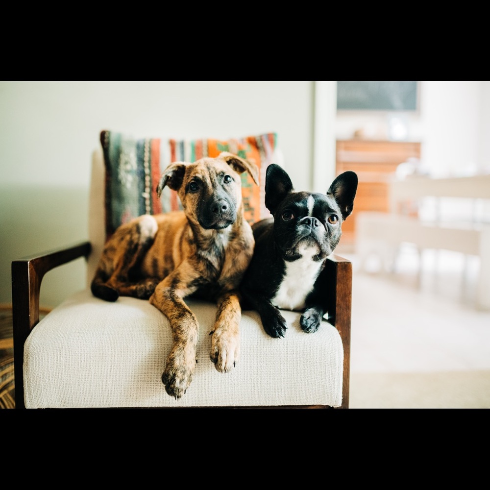 Meet your Posher, Keith